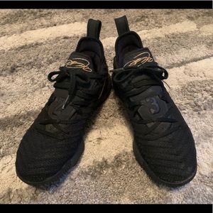 Lebron 16 “I am King”